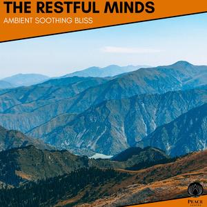 Heavenly Fall (Cosmic Music For Mental Relaxation And Inner Healing)