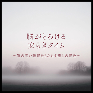 快眠へ誘う睡眠アンビ ストレス解消、不眠改善