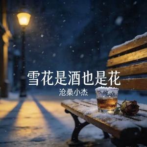 雪花是酒也是花(广场舞DJ版)