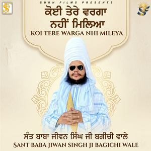 Koi Tere Warga Nhi Mileya