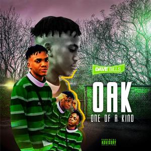 Who (feat. Harteez & Micee)