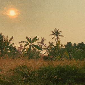 ใต้จันทร์ดวงเดิม