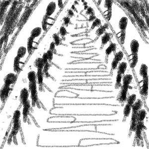 Свитер (Девочка из твиттера)