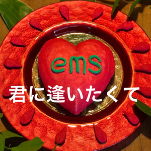 君に逢いたくて