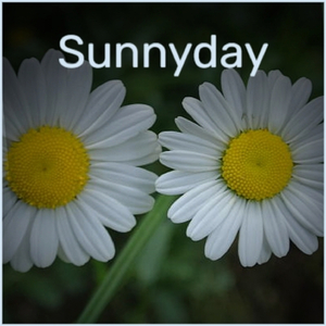 Another Twist of Fate