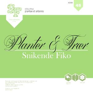 Planter & Trær