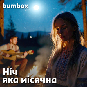 Ніч яка місячна