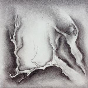 Ballet (feat. S. Carey)