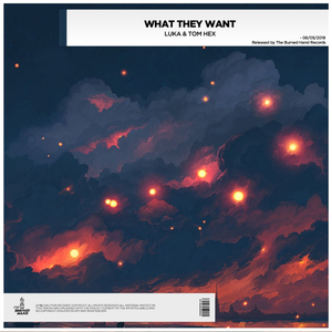 What They Want (Original Mix)