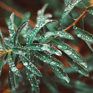 Relaxing Brown Noise for Children