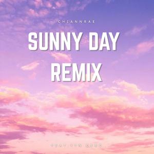 Sunny Day (Remix) (feat. YTN Debo) (Special Version)