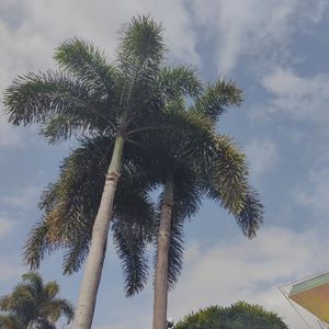 我的一个道长朋友【改编版】