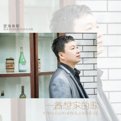 一首想家的歌 (DJ何鹏版)