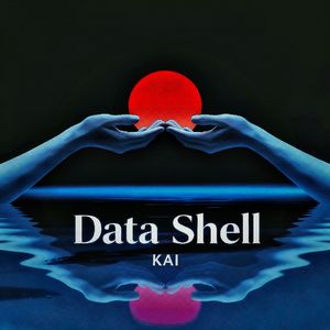 Data Shell 伴奏