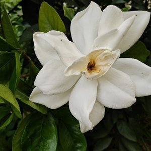 MiniWorldDreams(online-audio-converter.com).mp3