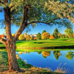 山谷的静谧午后