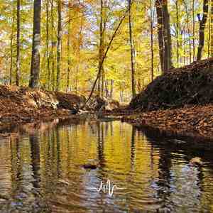 月倦 (冥想瑜伽太极)