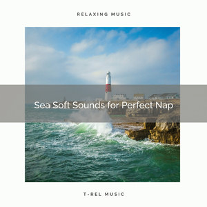 Take a Nap and Relax with Gentle Sea Songs
