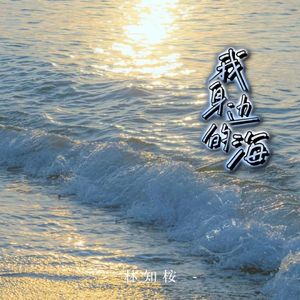 我身边的海