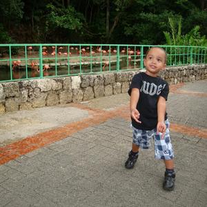 BATIDA