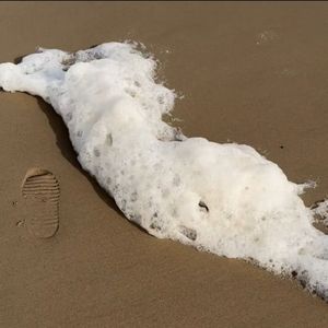 海的尸体变成泡沫黏糊糊