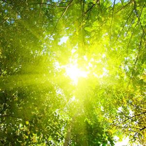 幼稚园杀手-RED ZKH（天津阮经天 remix）