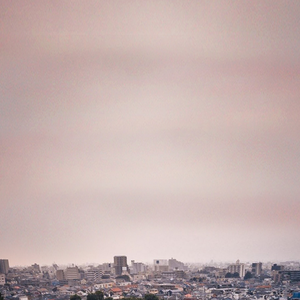 爱梦幻羽翼的飞翔