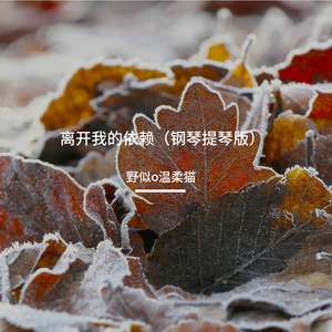 离开我的依赖（钢琴小提琴版）