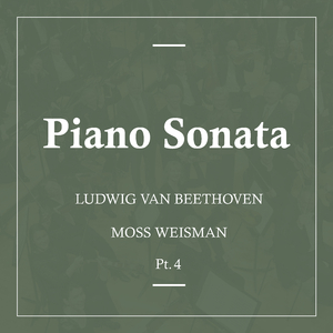 Piano Sonata No. 27 in E Minor, Op. 90: II. Nicht zu geschwind und sehr singbar vorgetragen