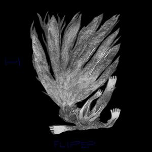 FLIPER