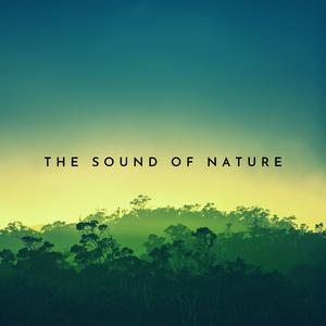 Green Noise - Poaring
