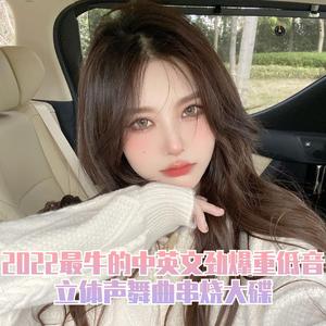 DJ国飞-2022最牛的中英文劲爆重低音立体声舞曲串烧大碟（DJ国飞 remix）