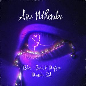 ANi Nthembi (Beat By Young PizzY) (feat. Bhee Boi)