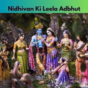 निधिवन | Nidhi Van | Radha Krishna Leela