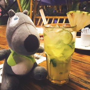 带着大叔去旅行