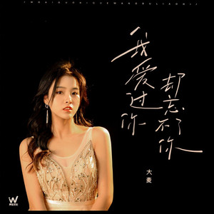 我爱过你却又忘不掉你 (伴奏)