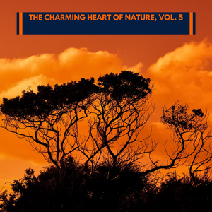 The Dreamland and Forest