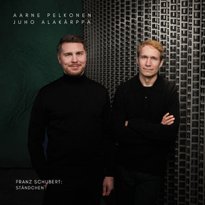 Ständchen, Schwanengesang, D. 957: IV