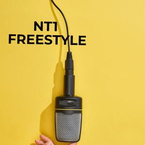 Nt1 Freestyle (feat. Agbeko, Mo Qid, Sarkodie & Yaa Pono)