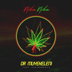 Nika Nika (feat. TSB Ngwenya)