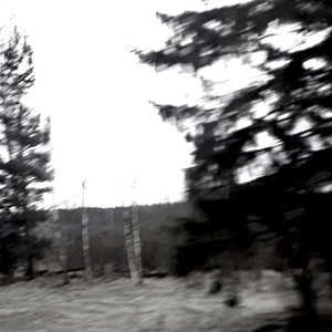 Yo la Conocí en Pinkeye