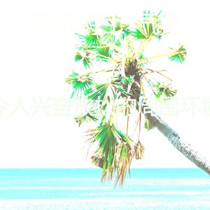 柔和的周日时刻