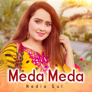 Meda Meda