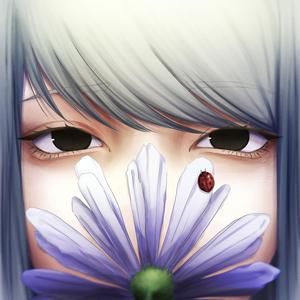 kienai hikari