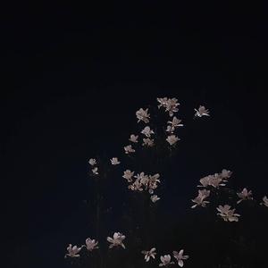 All I Had Left (feat. Kais)