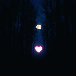 Amour Perdu by @rareprechorus9551