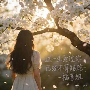 这一生爱过你 已经不算蹉跎 DJ涵哈版