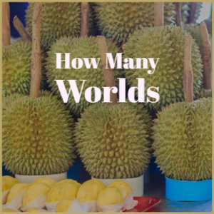 Introspective Pop Vocals