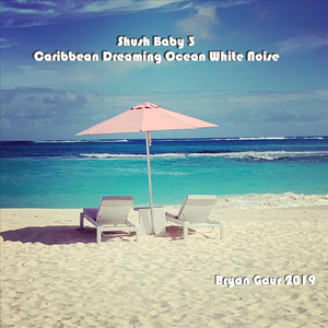 Shush Baby 3: Caribbean Dreaming Ocean White Noise