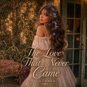 The Love That Never Came